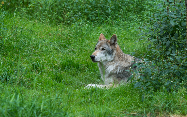 Foto: Peter Lutz