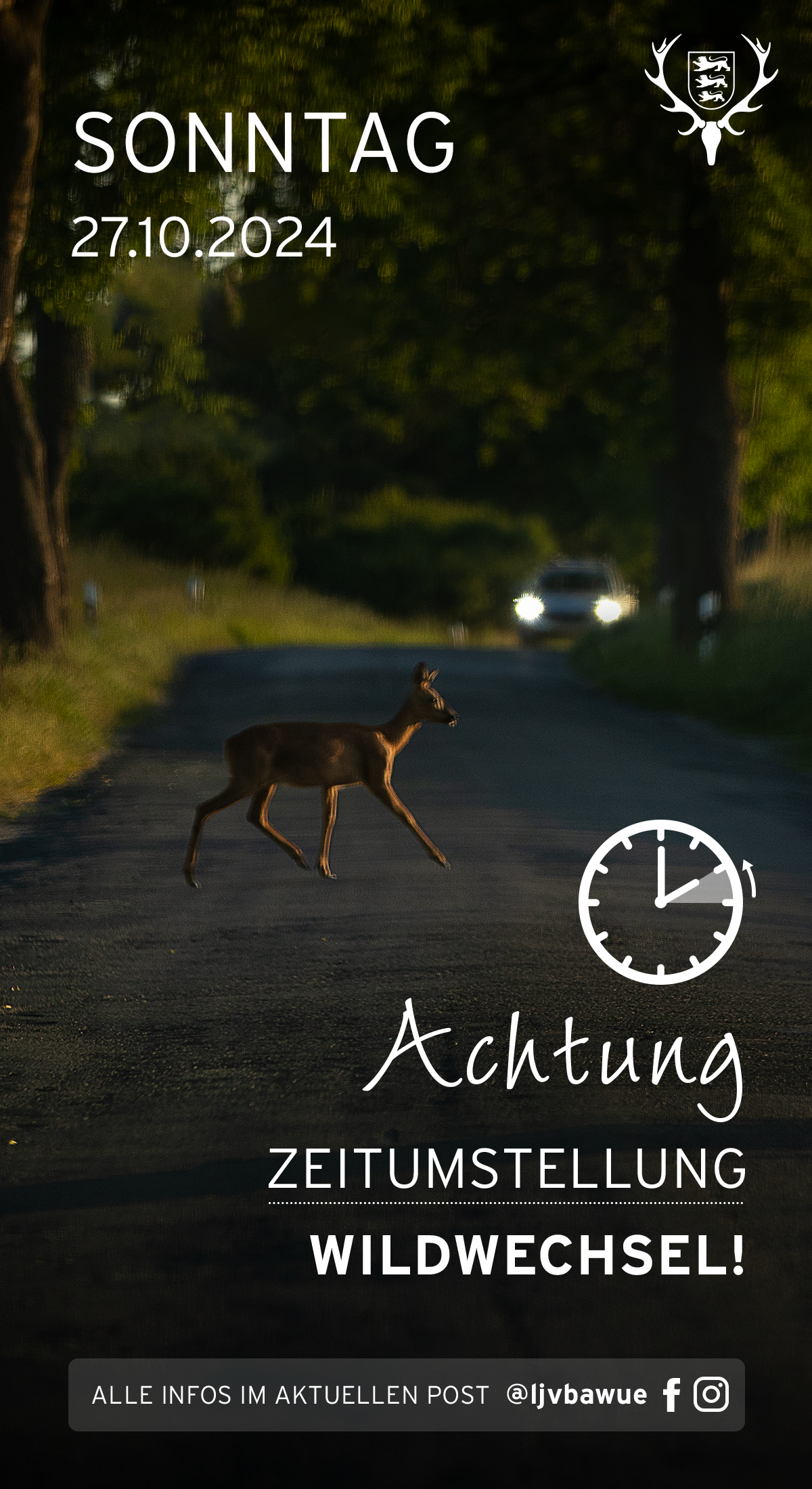 pdf-preview