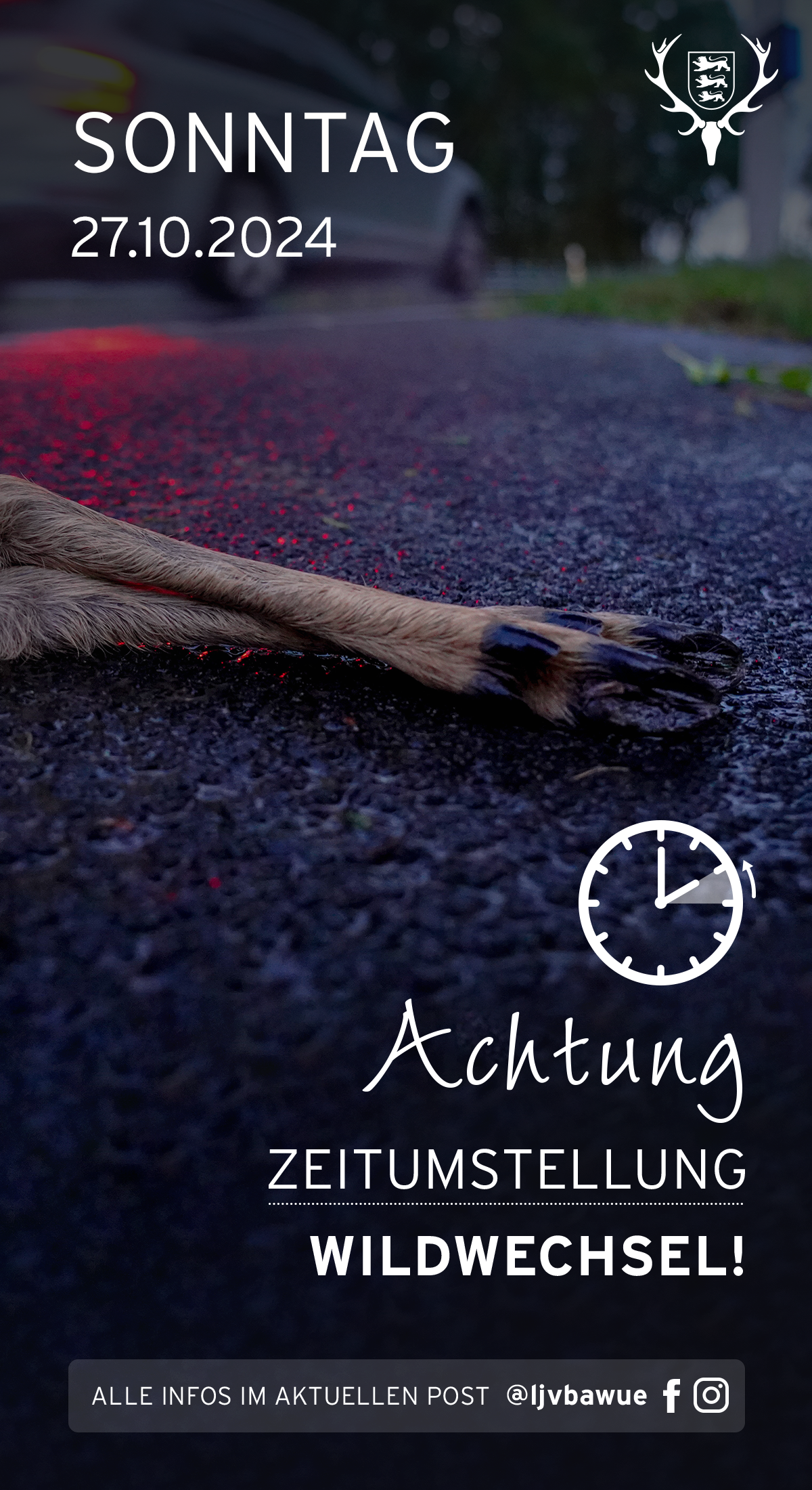 pdf-preview