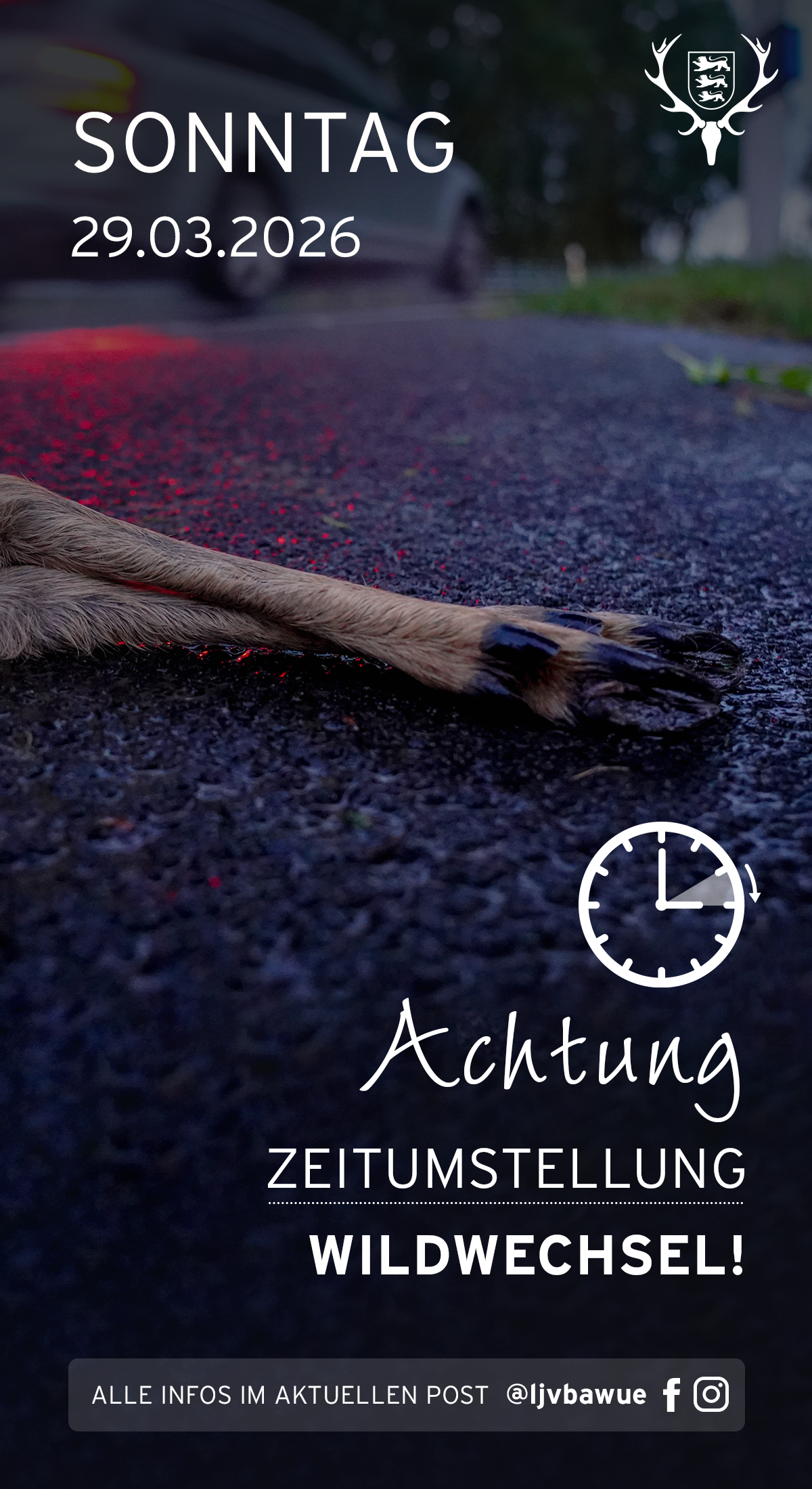 pdf-preview