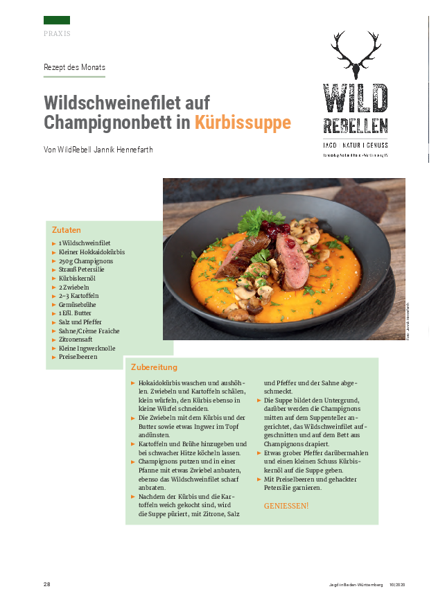 Rezept: Wildschweinfilet auf Champignonbett in Kürbissuppe pdf-preview