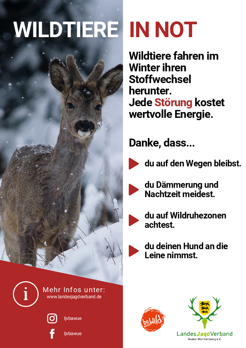 pdf-preview