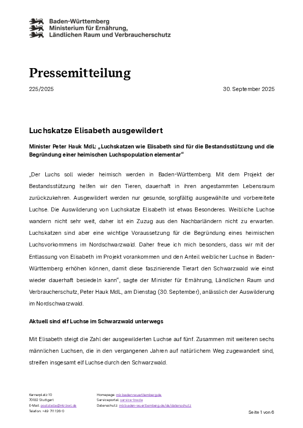 pdf-preview