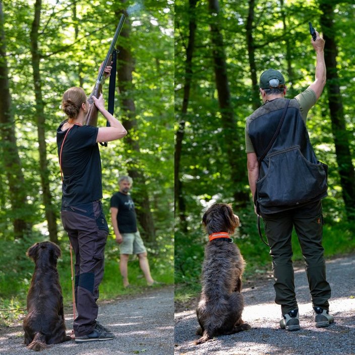 Person hält ein Gewehr in einem Wald, während ein Hund sitzt. Eine andere Person hebt ein Gerät, ebenfalls mit einem Hund neben sich, umgeben von vielen Bäumen.