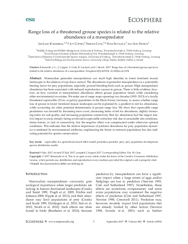 pdf-preview
