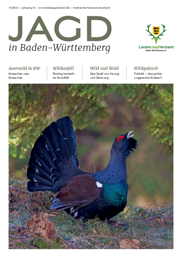pdf-preview
