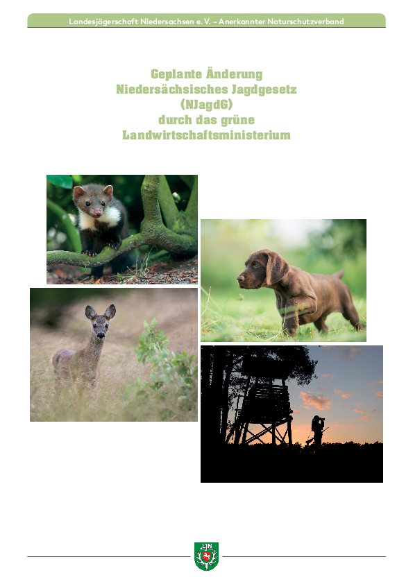 pdf-preview
