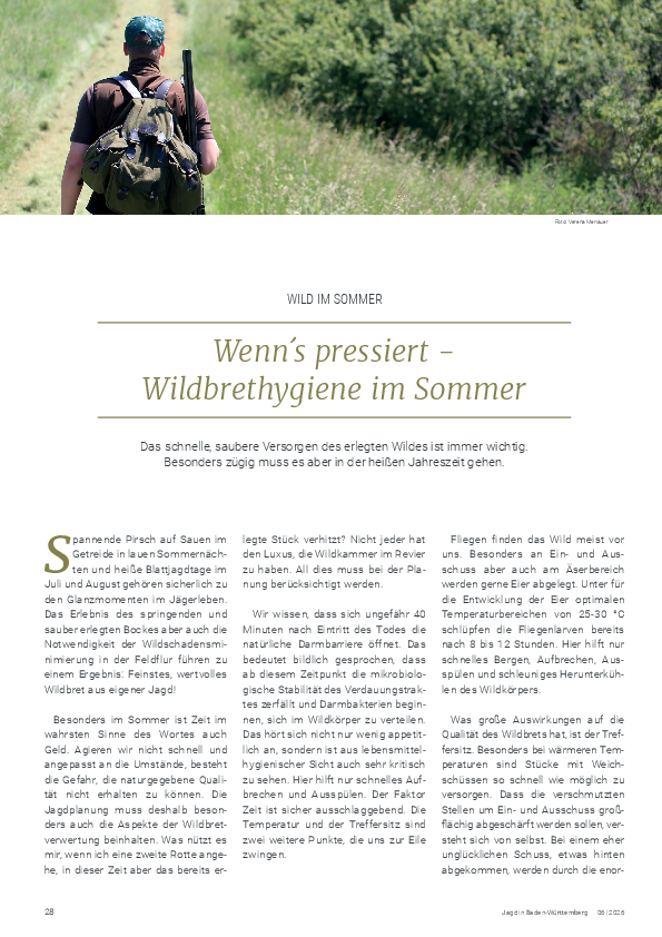 pdf-preview