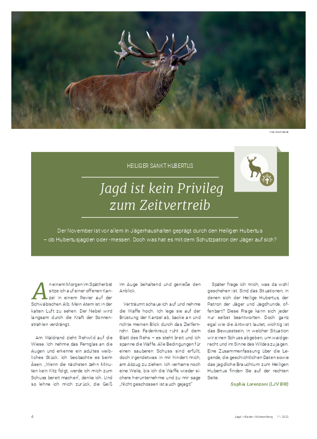 pdf-preview