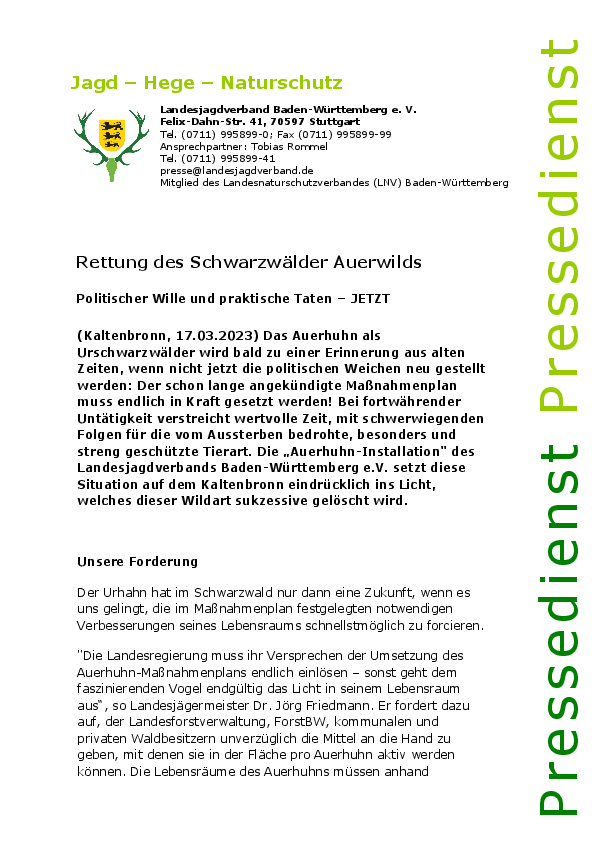 pdf-preview