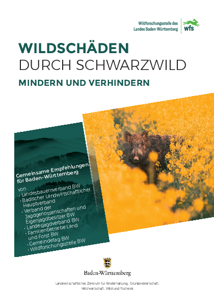 pdf-preview