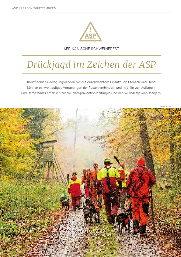 pdf-preview