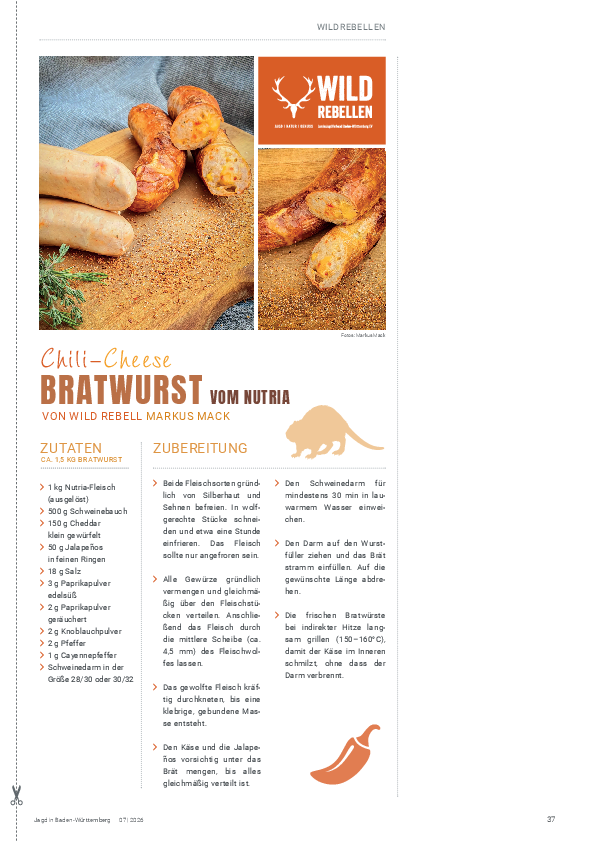 pdf-preview