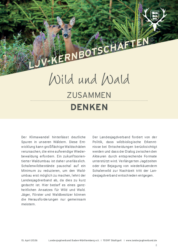 pdf-preview
