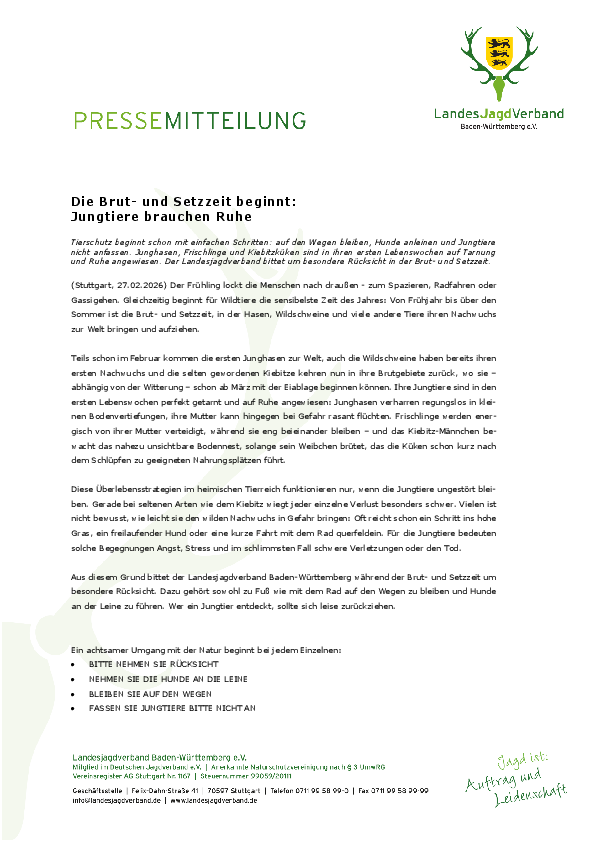 pdf-preview