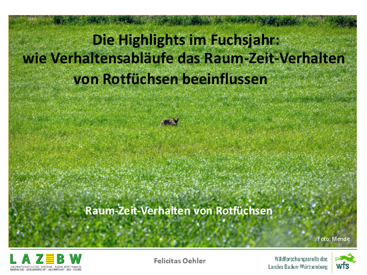 pdf-preview