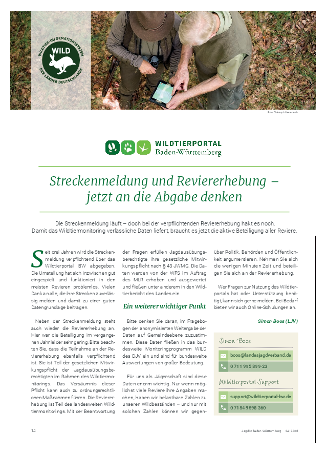 pdf-preview