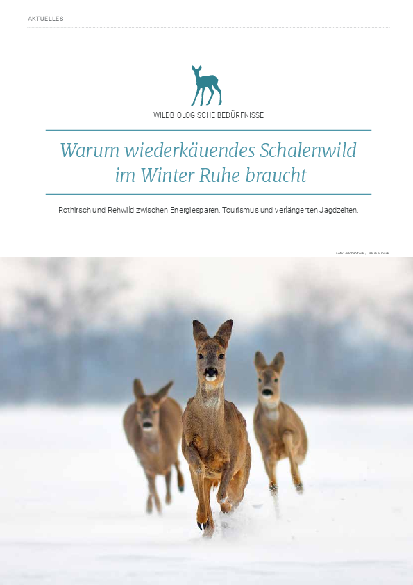 pdf-preview