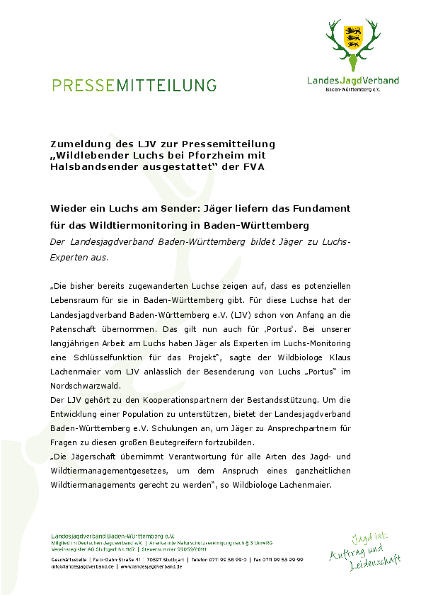 pdf-preview