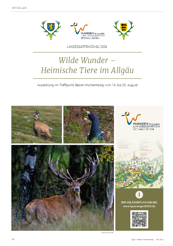pdf-preview