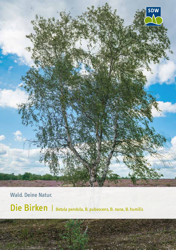 pdf-preview