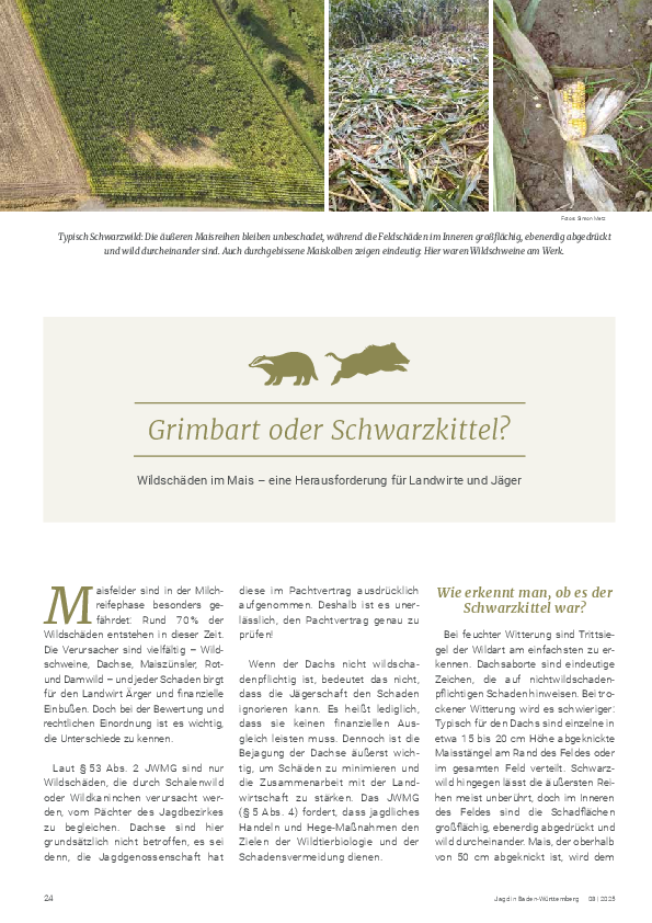 pdf-preview
