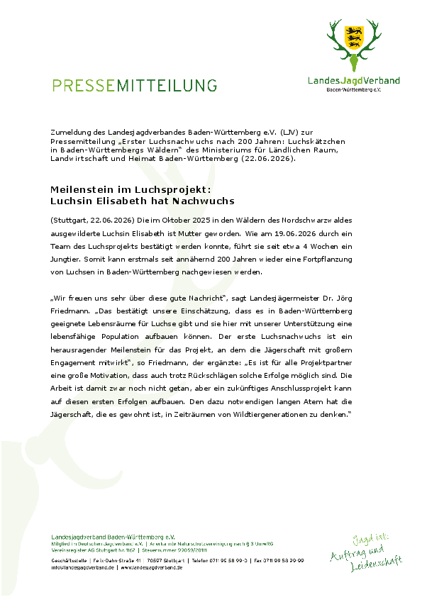 pdf-preview