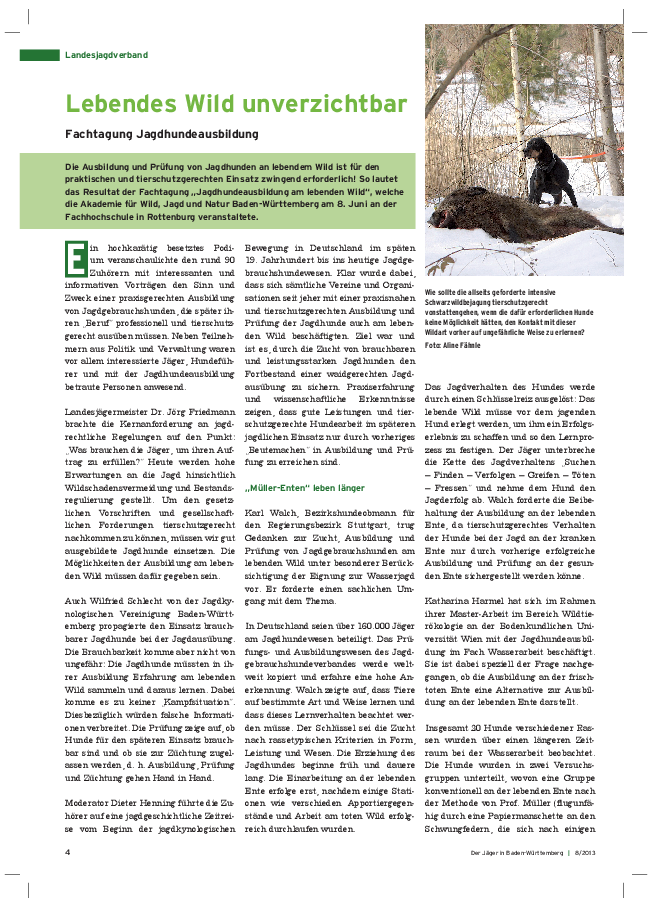 pdf-preview