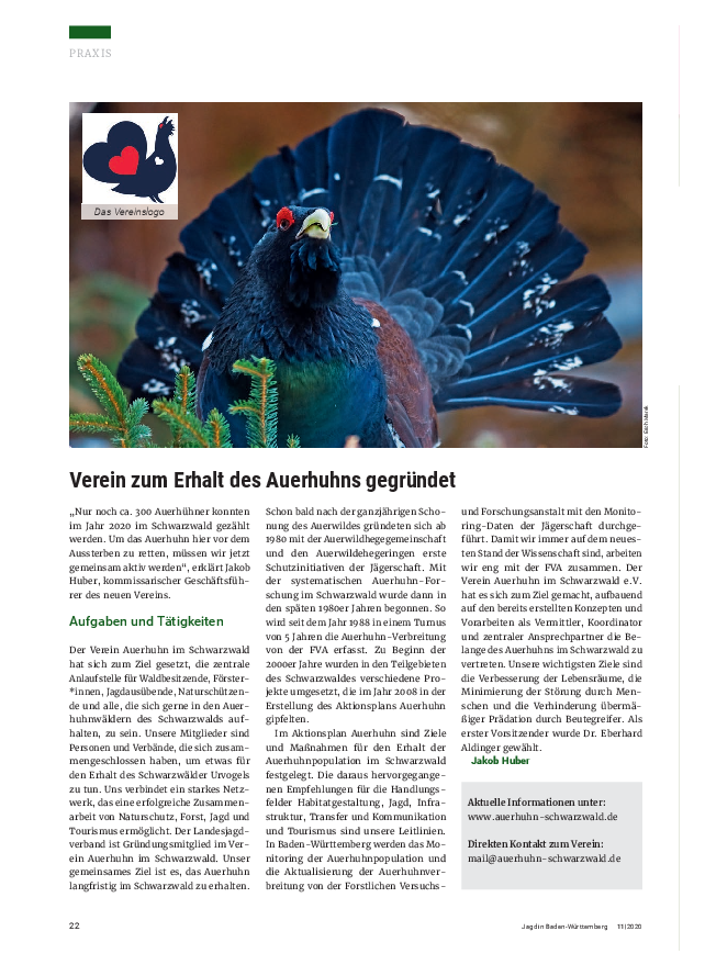 pdf-preview
