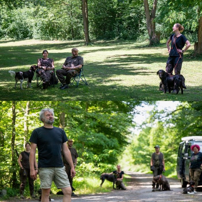 Personen und Hunde entspannen auf einer Wiese im Schatten der Bäume; andere stehen auf einem Waldweg, während Hunde in der Nähe verweilen. Eine friedliche, sonnige Waldszene.