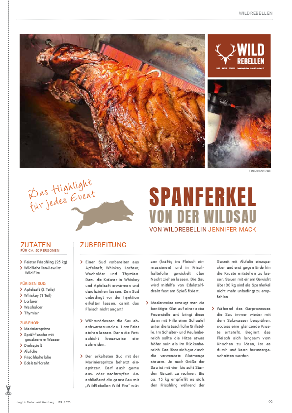 pdf-preview