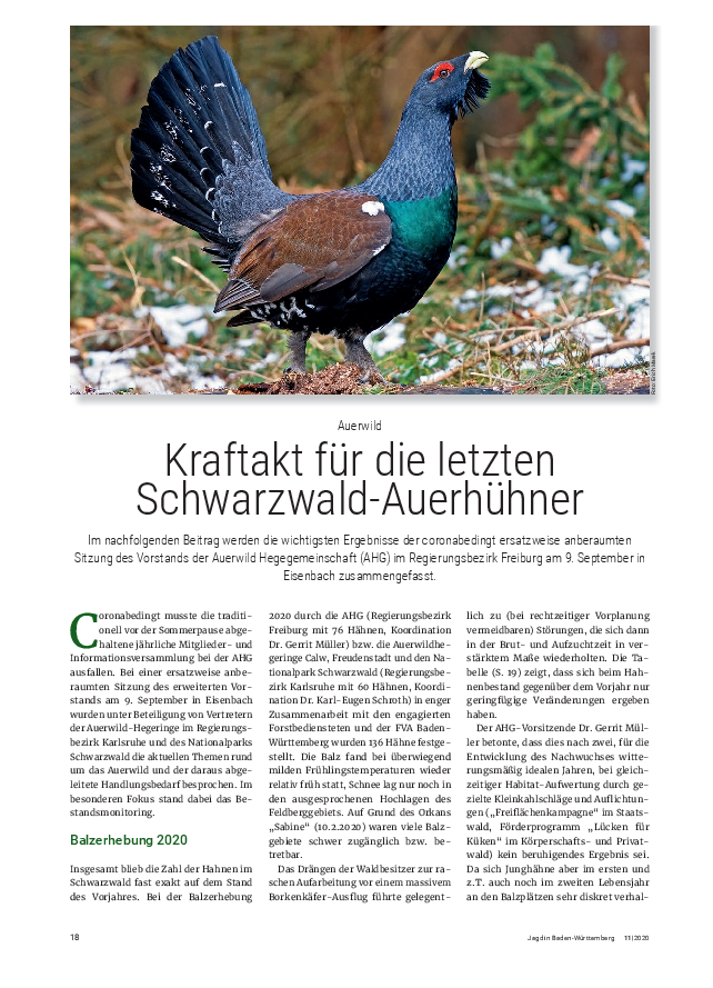 pdf-preview