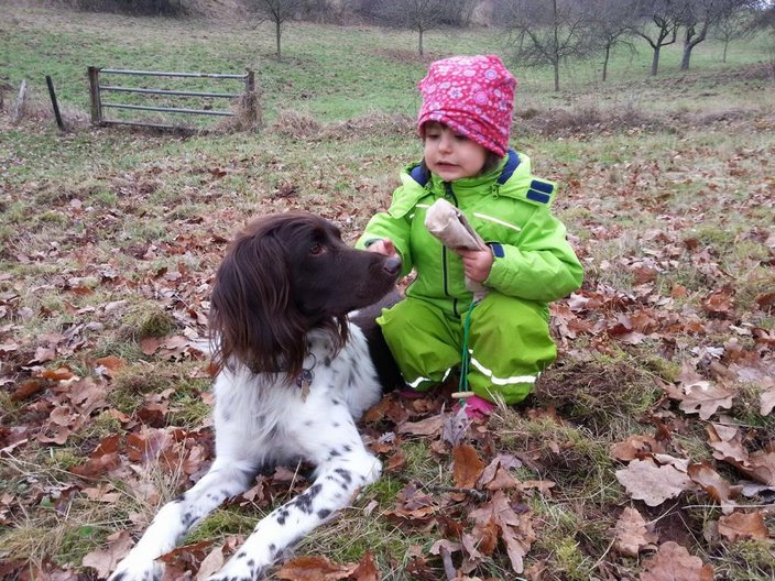 In zwei von drei Jägerhaushalten lebt mindestens ein Hund. (Foto: G.D.Klein)