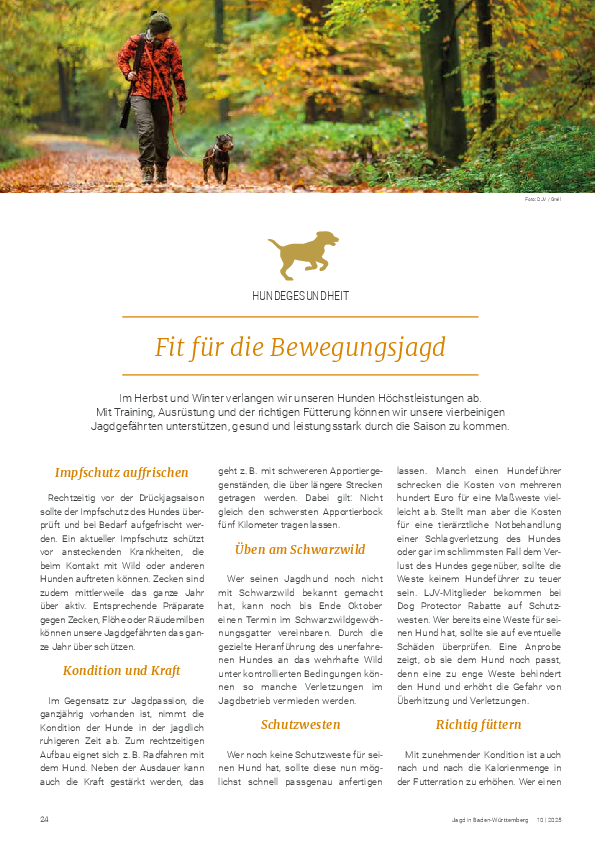 pdf-preview