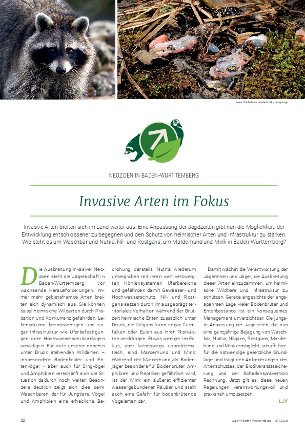 pdf-preview
