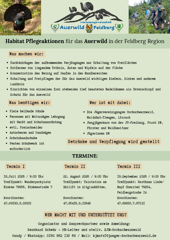 pdf-preview