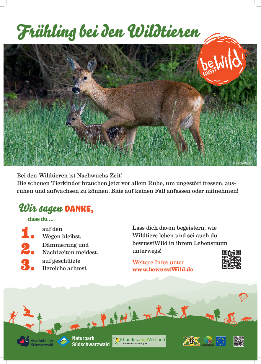 pdf-preview