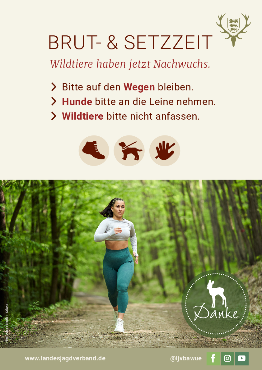 pdf-preview