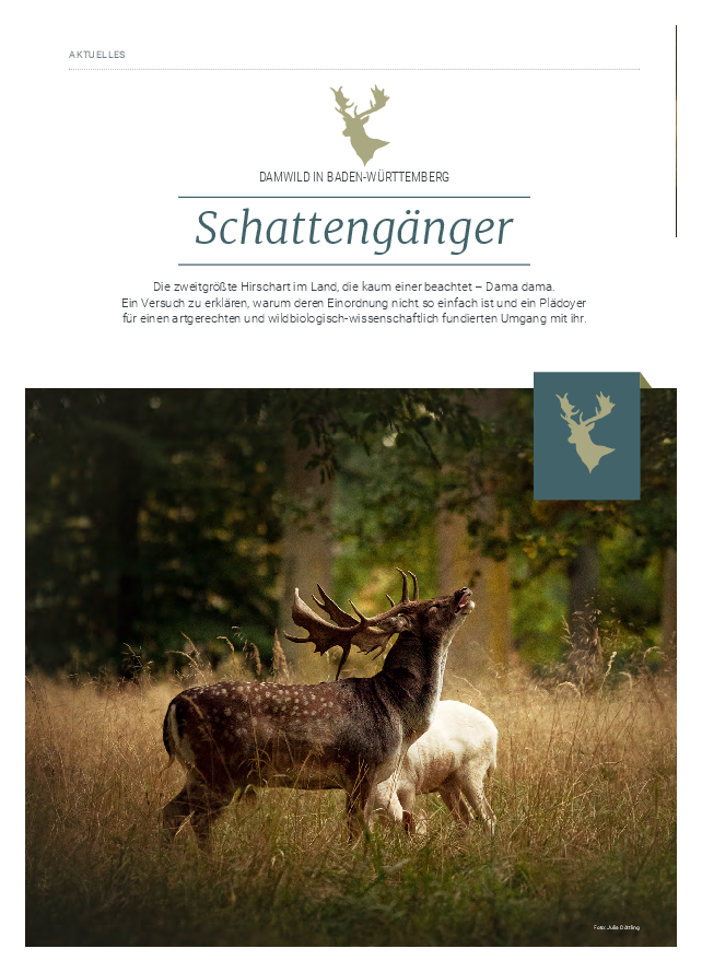 pdf-preview