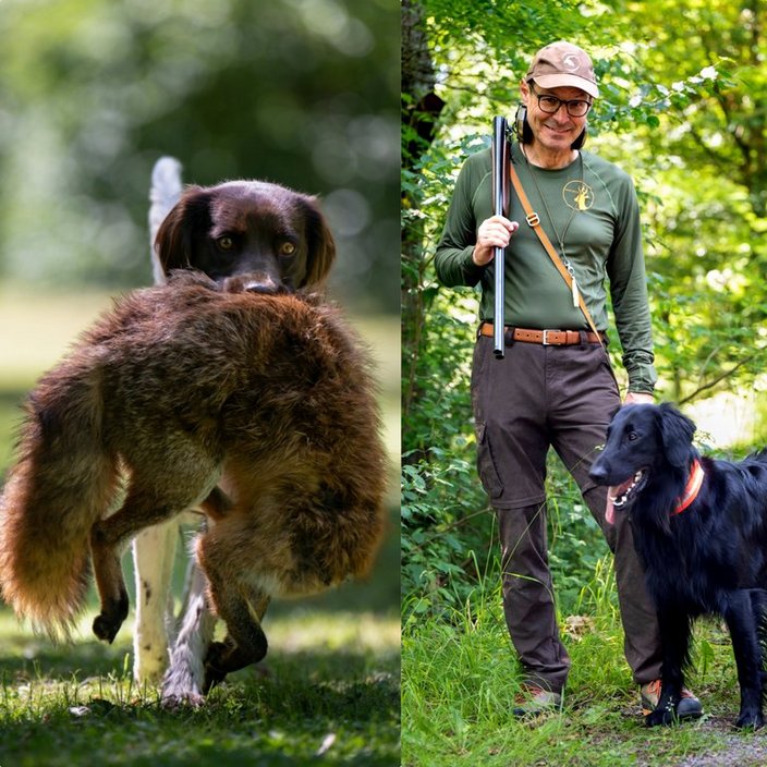 Links trägt ein Hund ein großes, braunes Fell, während er über eine Wiese läuft. Rechts steht ein Mann mit Hund und Flinte in einem grünen Wald.
