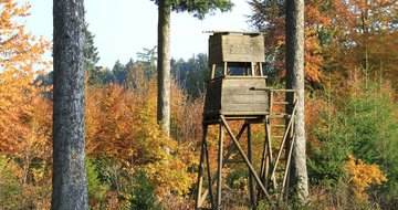 Jauch_Hochsitz.JPG