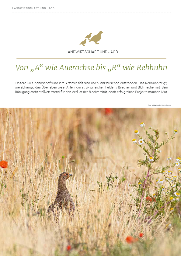 pdf-preview