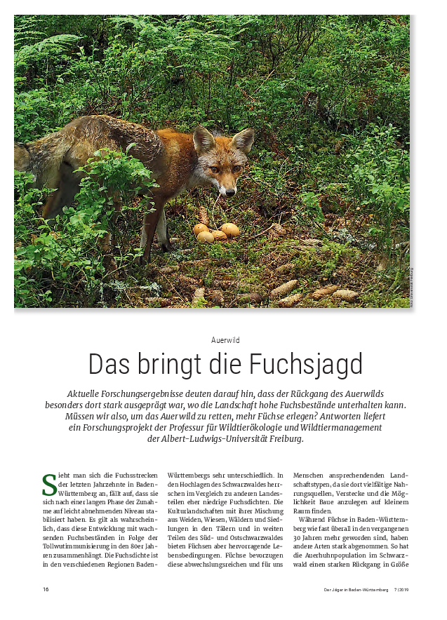 pdf-preview