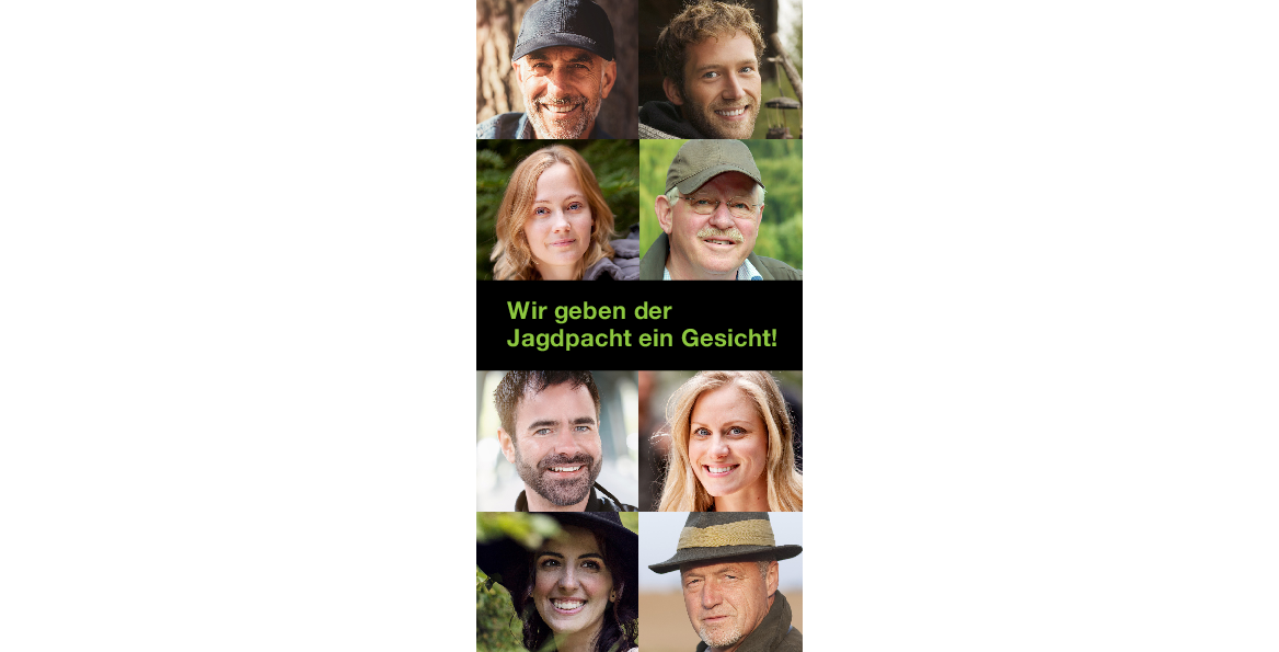 pdf-preview