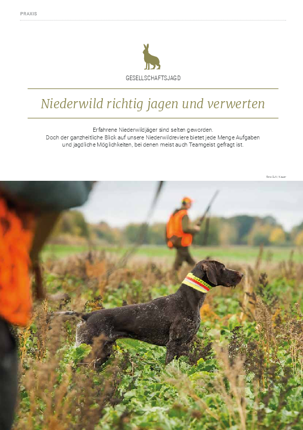 pdf-preview