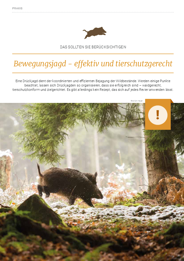 pdf-preview