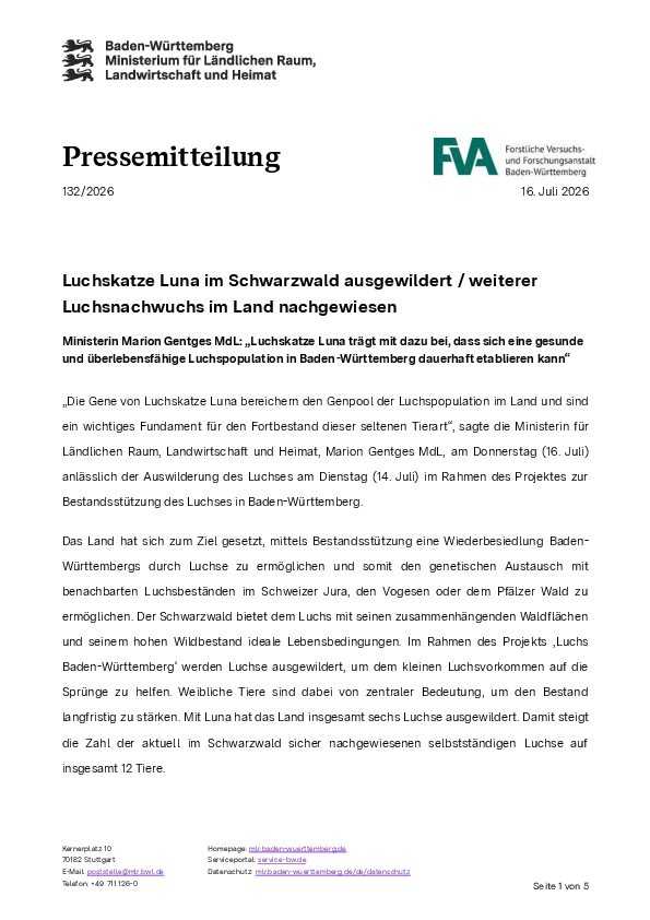 pdf-preview