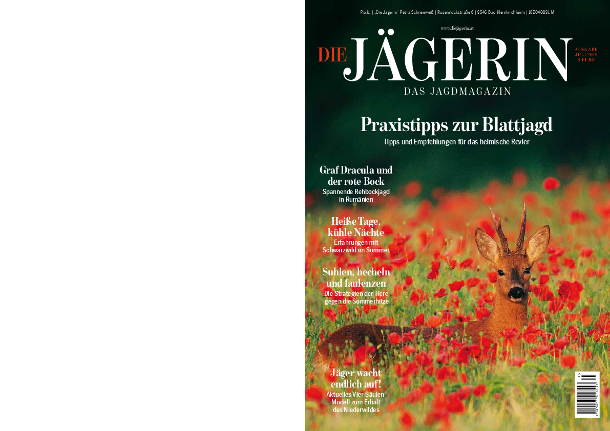 pdf-preview