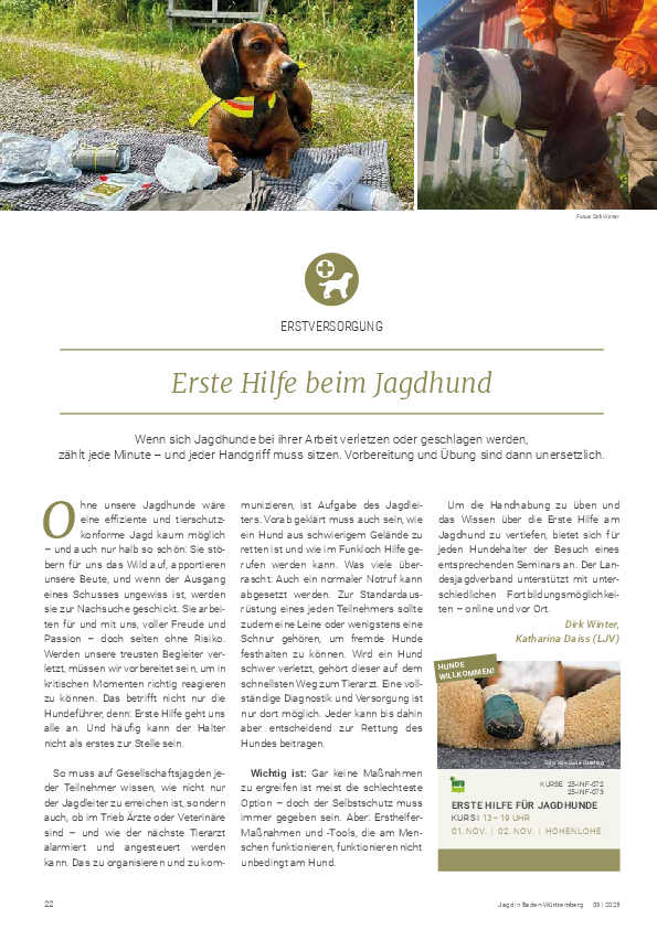 pdf-preview
