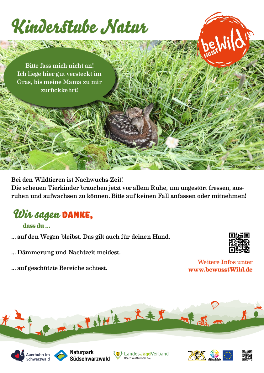 Plakat Kinderstube Natur (Web) pdf-preview